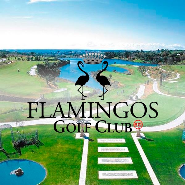 Flamingos-2023